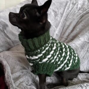 Virkmönster Hundtröja Wheat Stitch